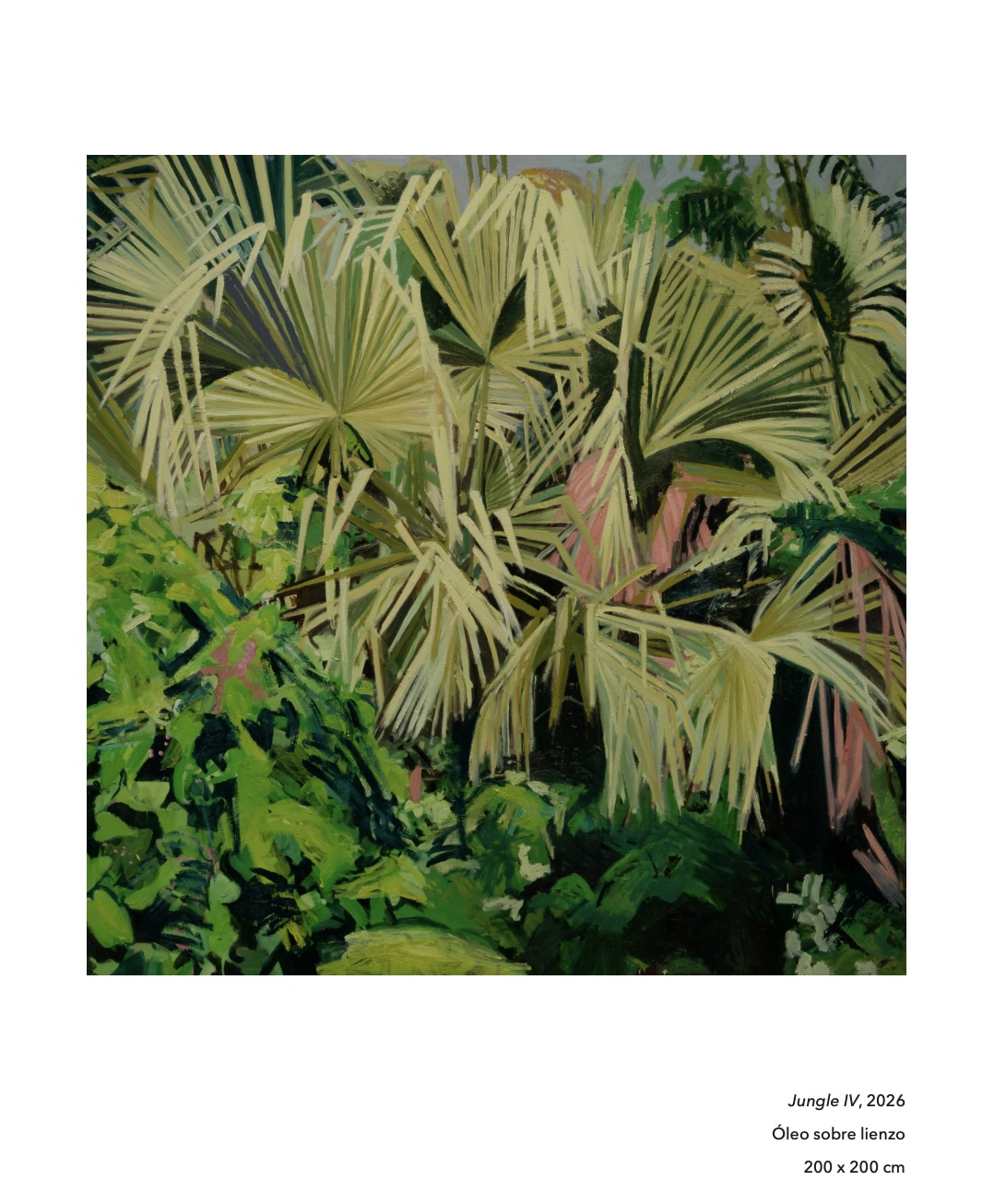Jungle 16 